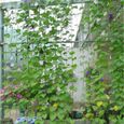 1.8x0.9 m - Filets En Nylon Vert Pour Plantes À Haricots Grimpantes, Support En Treillis Pour Clôture De Jard-2