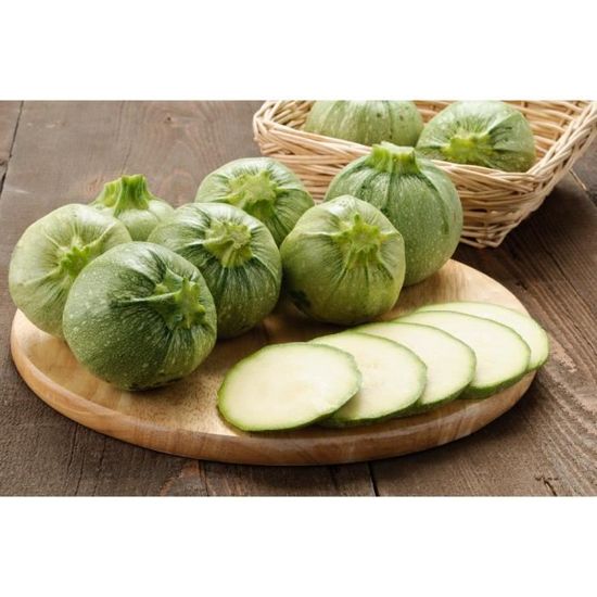 Avec substrat de culture dans un sac de levage facile /à manipuler BIO Radis Jardin dans le sac French breakfast 150 graines - Raphanus sativus SAFLAX