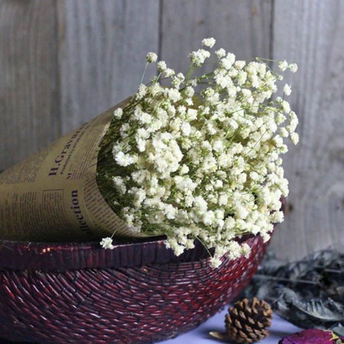 Gypsophile (Bébé Souffle) Séché Naturel - Plus De 2500 Boutons Blancs - Pour Décorations Mariage, Maison, Bouquets DIY - Fleurs Séchées Sans Entretien