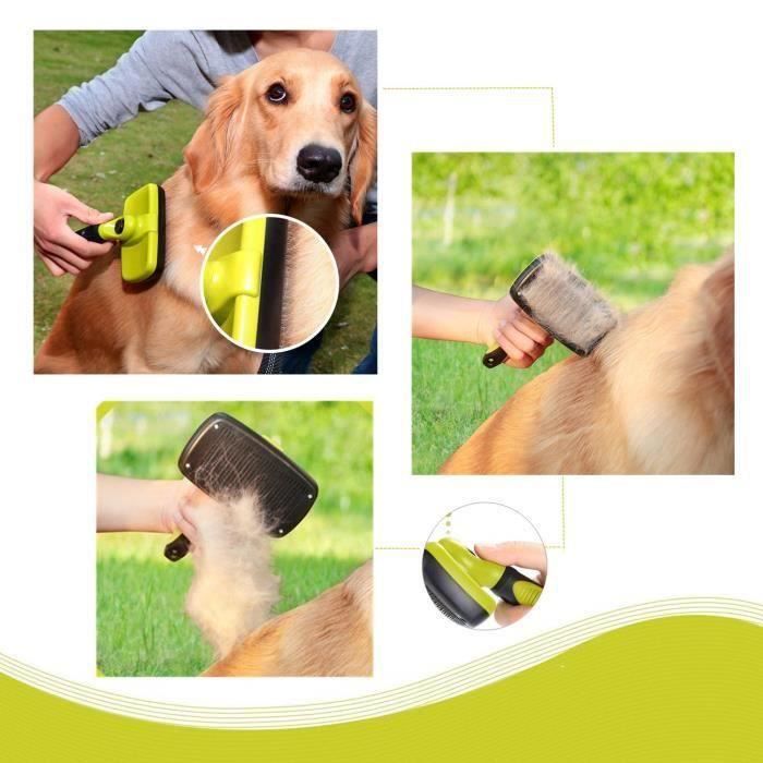 Brosse De Toilettage Autonettoyante Pour Chien Et Chat - Poils Morts, Nœuds - Picots En Inox Arrondis, Bouton éjection - Toutes Tailles D'animaux