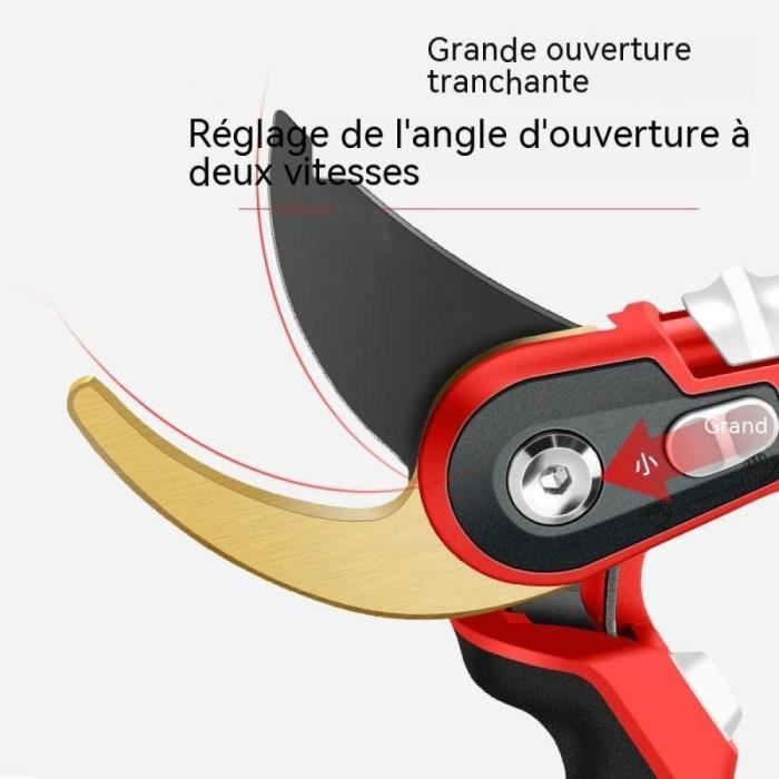 Sécateur Pneumatique Paterlini - Taille Branches Sans Effort à L'Air