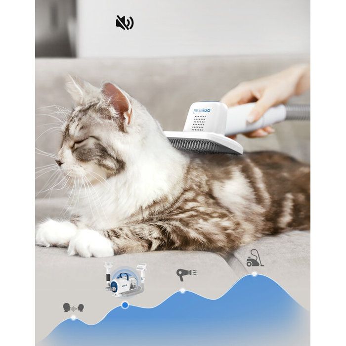 oneisall Kit de toilettage 3 en 1, coupe-pattes de chien à