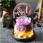 125 6 Vie éternelle Rose Verre Couverture Chaude Lumière Décoration Fleurs Séchées Fleurs Tanabata Valentin Cadeau Danniversaire