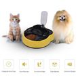 Plateau Repas Chat Achat Vente Pas Cher Plateau Repas Chat Achat Vente Pas Cher
