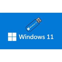 Windows 10 32/64 bits sur Clé USB avec licence