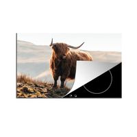 Protège-Plaque - MuchoWow - 89x51 cm - Highlander écossais Animaux Rural Paysage Vache Nature - Multicolore