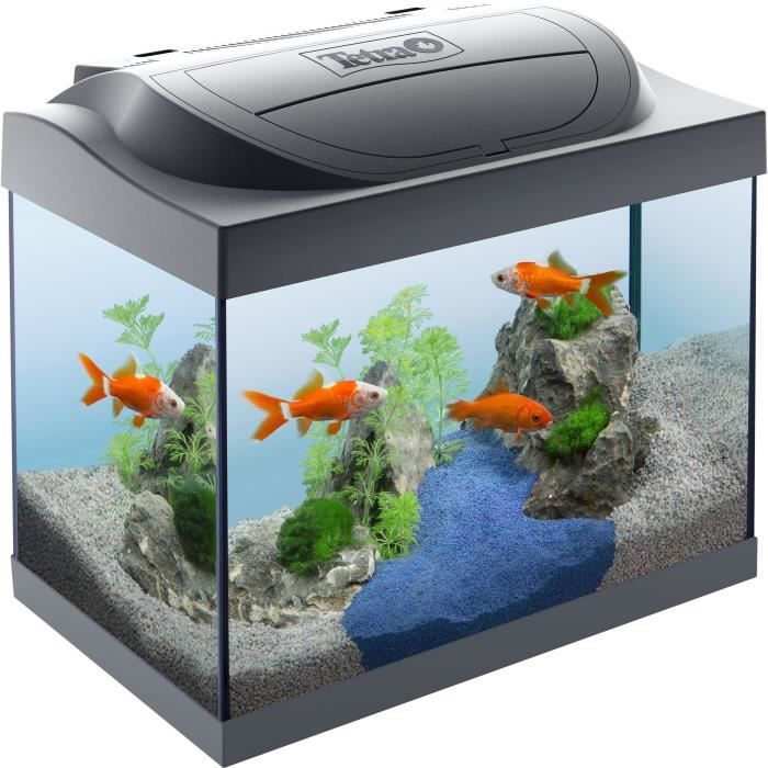 TETRA Aquarium Starter Line LED Goldfish 30 L - Pour poisson