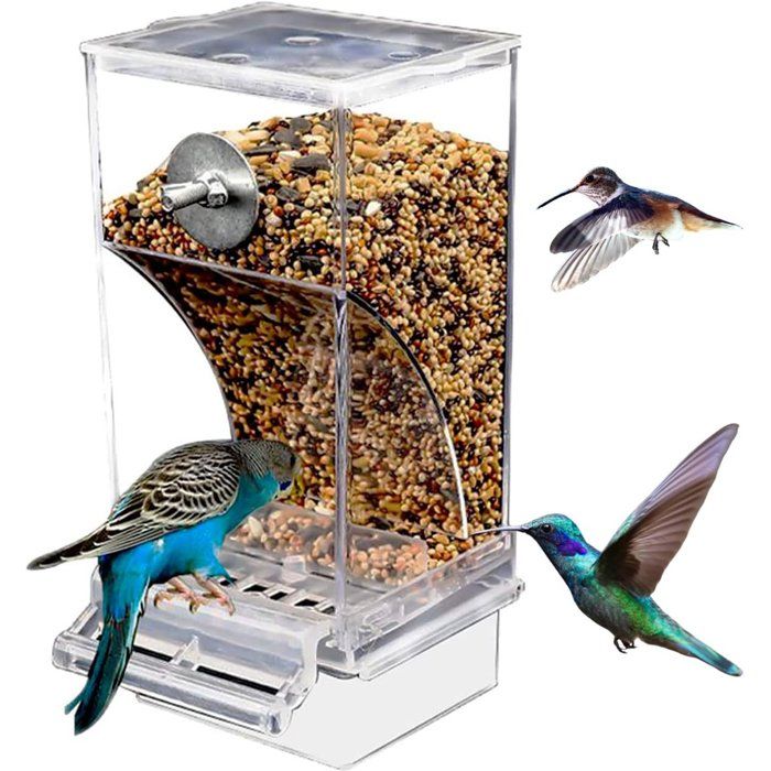 Mangeoire pour oiseaux - Mangeoire anti-éclaboussures avec ouverture par le bas - Accessoire pour cage à oiseaux - Mangeoire en...