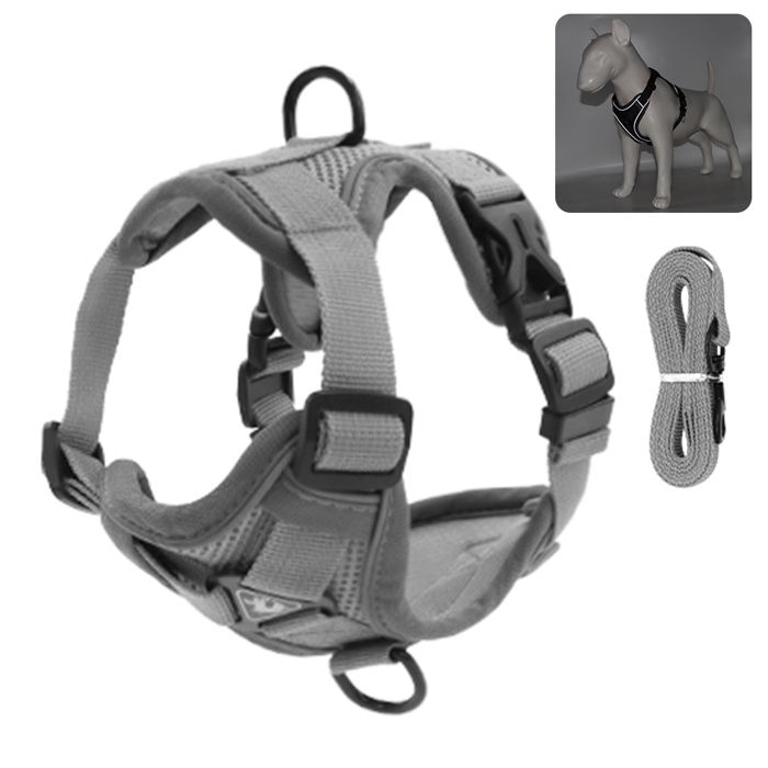 Harnais pour chat réfléchissant - Phoesky - Gris - XL - Pour 9 à 12 kg - Respirant - Résistant aux fuites