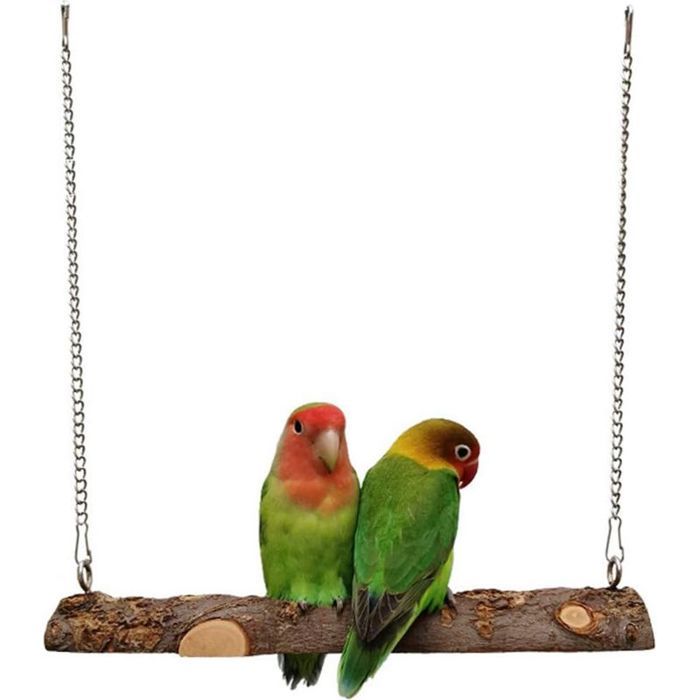 Balançoire oiseau pomme naturelle perroquet