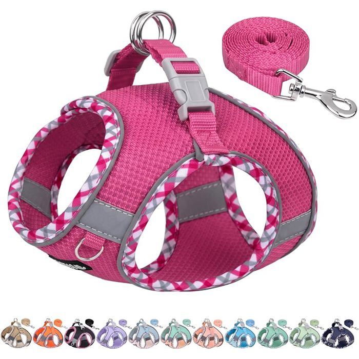 Ensemble harnais et isse anti évasion pour chienrose viftaille L  Harnais anti traction pour chiot Maille L ROSE VIF LAISSE