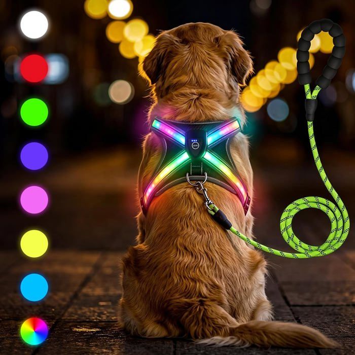 Harnais Lumineux Chien Taille M Avec Laisse Réfléchissante De 1 5 M Harnais Chien Lumineux Rechargeable Harnais Anti-Traction