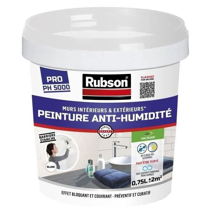 RUBSON Peinture Anti-Humidité Interieurs Blanc