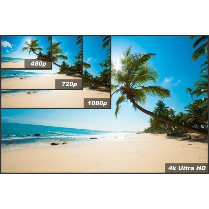 DeleyCON 3,0m Câble HDMI Plat - Compatible Avec HDMI 2.0/1.4 - UHD 4K HDR 3D 1080p 2160p ARC - Haute Vitesse Avec Ethernet - Noir