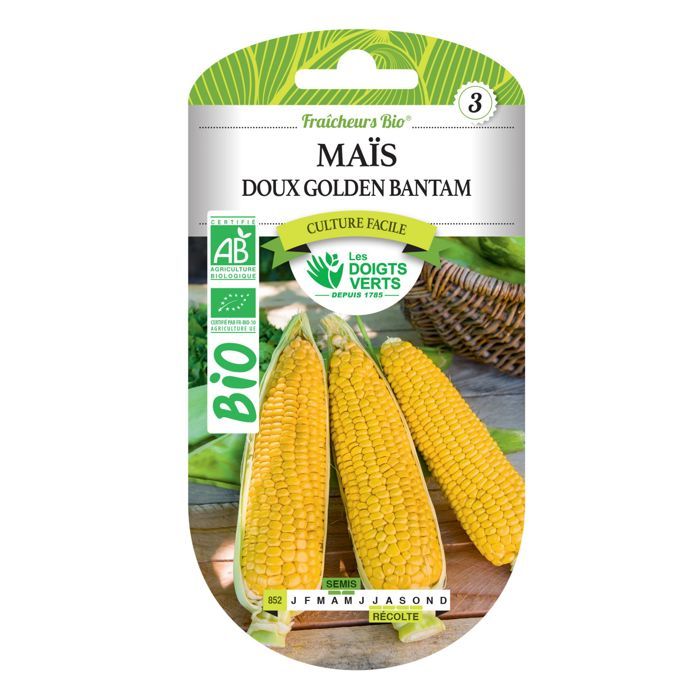 Meilleurs prix pour Graines maïs doux Golden Bantam BIO Les Doigts Verts