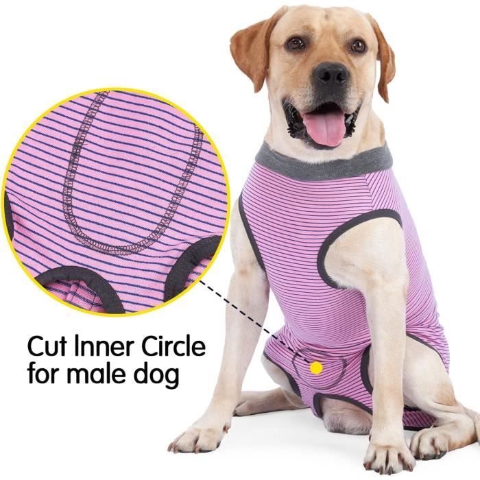 Body Chien Post Operatoire Femelle Combinaison Chien Sterilisation Body Pour Chien Castration