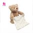 teddy ours cache cache