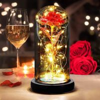 Rose Eternelle sous Cloche, Cadeau Fete des Meres,Rose Dôme en Verre Fleur Artificielle, Rose Fleur Artificielle avec Lumières LED