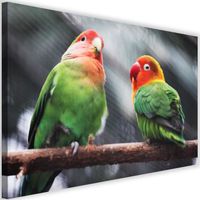 Tableau Décoration Murale Perroquets 60x40 cm Impression sur Toile Artistique Photographie oiseaux exotiques tropicaux pour salon