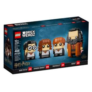 ASSEMBLAGE CONSTRUCTION LEGO® Harry Potter™ 40495 Harry, Hermione, Ron & H
