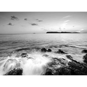 Mer Ciel Herbe Bleu Art Impression Image Poster Metallique Plage 30x20 cm