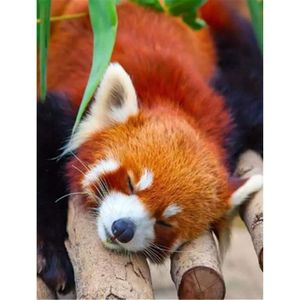 KIT MOSAÏQUE DIY 5D Diamond Kit de peinture par numéro-Panda roux endormi Foret rond complet sans Cadre-Peinture en Diamant 50x70cm[3701]