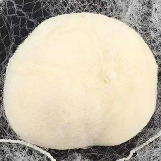 Lot De 200 Filets à Cheveux Jetables Non Tissé - Respirants Sans Latex Hygiène