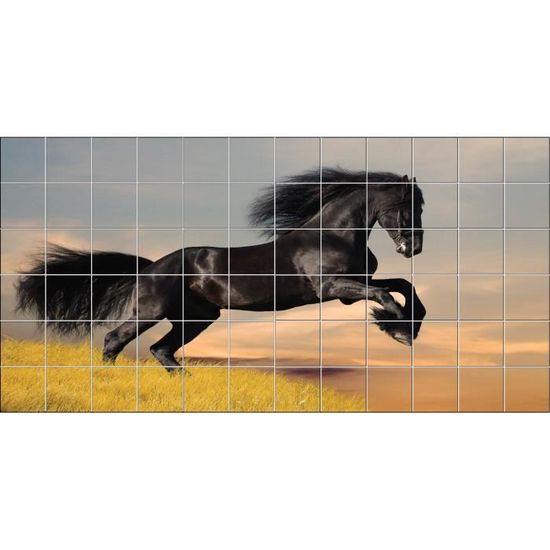 Stickers carrelage mural Cheval dimension du carreau10x10cm