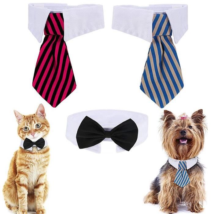 3 PCs animaux chien chat noeud papillon costume cravate collier noeuds liens cravates