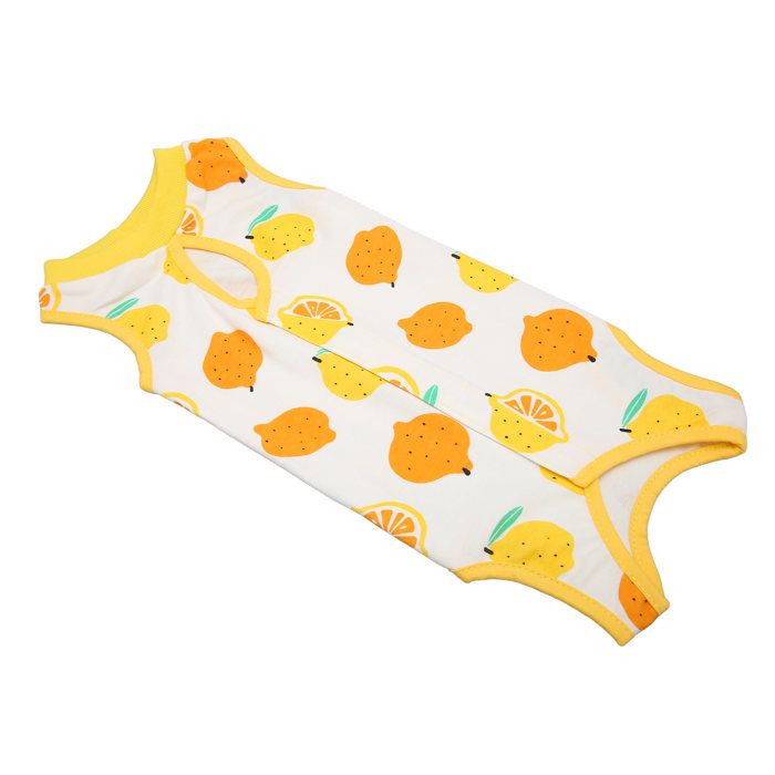 Meilleurs prix pour SALUTUYA combinaison de récupération pour chat après chirurgie Combinaison de récupération animalerie ensemble L M pour 150-155 cm