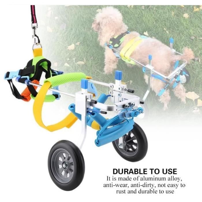 Outil Marche Aide Chariot Fauteuil Roulant A 2 Roulettes Chien Chat Handicape Xxs Cdiscount