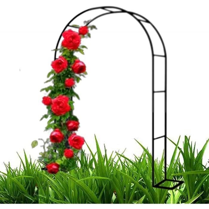 Arche à Rosiers En Métal Galvanisé - Support Plantes Grimpantes Pour Jardin - Blanc Résistant Aux Intempéries - 10