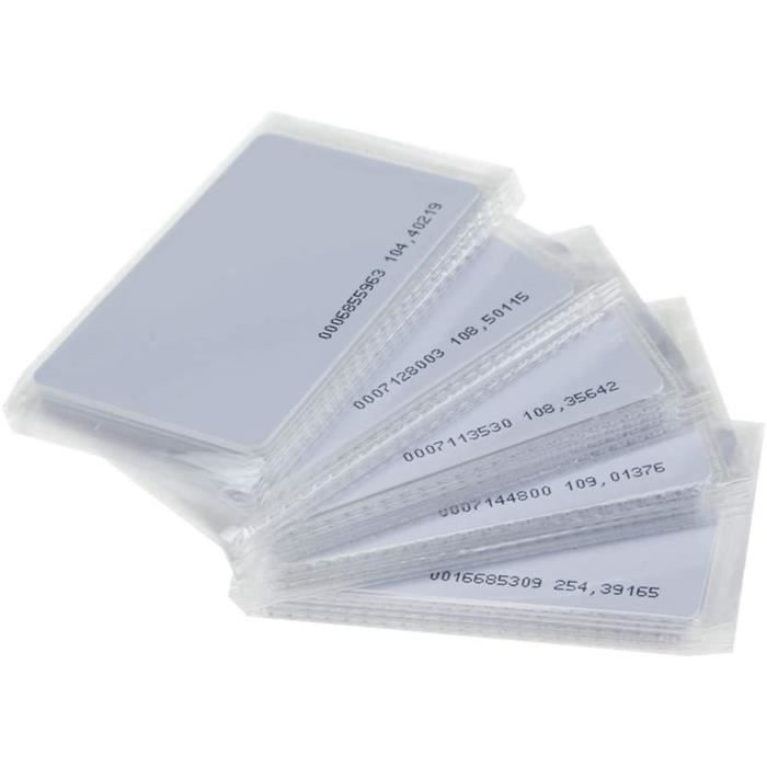 Lot De 100 Jetons RFID 125kHz – Gris – Porte-clés TK4100 EM4100 – Contrôle D’Accès