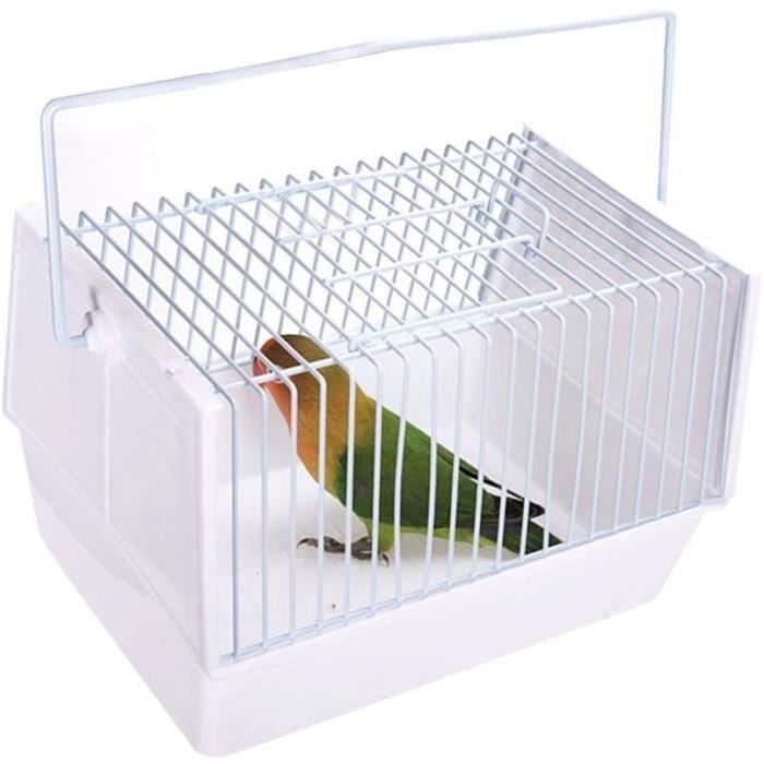 Cage de Chasteté Petit Oiseau  PlugezVous - Livraison gratuite