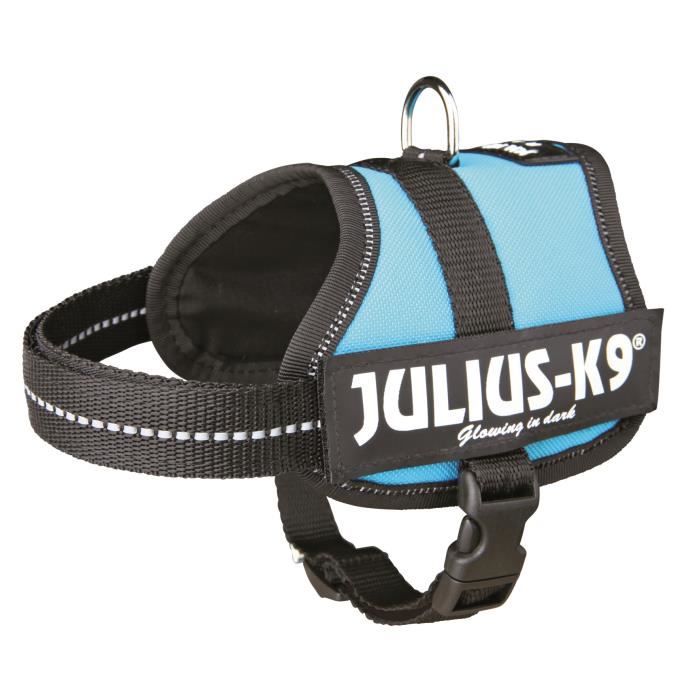 Harnais Power Julius-K9 - Baby 2 - XS-S : 33-45 cm-18 mm - Aigue-marine - Pour chien