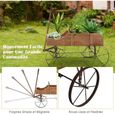 GOPLUS Jardinière Forme Brouette Chariot Décoratif en Bois avec 2 Bac de Plantation pour Jardinière,Jusqu’à 15kg,35×62,5×60cm Noyer-1