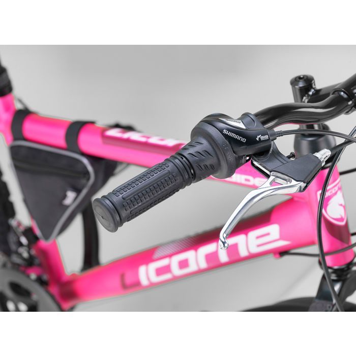 VTT Licorne Bike 24 Ou 26 Pouces – Cadre Acier – 21 Vitesses – Suspension Complète – Freins V – Pour Tous