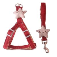 FUROKOY Laisse de harnais pour chien Harnais pour chien, laisse réglable, poignée confortable, Rouge 1,5x120cm / 0,6x47,2 pouces