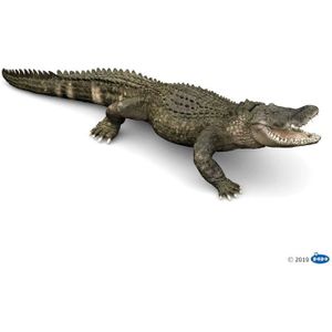 FIGURINE - PERSONNAGE Figurine Alligator LA Vie Sauvage PAPO - Collection Les Animaux Sauvages