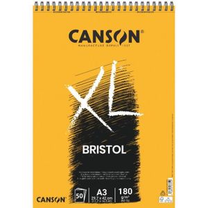 Canson Iris Pack de 25 feuilles Bristols 50 x 65 185 g Bleu Obscur 