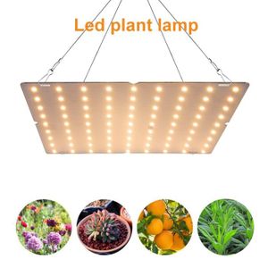 Panneau LED horticole Florastar idéal pour la culture indoor