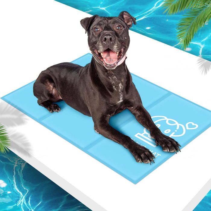 Tapis Rafraichissant XL pour ChienTapis Refroidissant Non Toxique en GelFraicheur Rafraichissante Auto-refroidissant100x60cmBleu