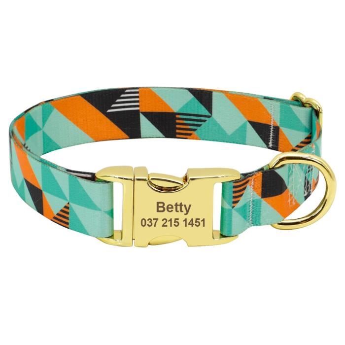 Collier Chien Personnalisable Avec Nom Gravé - Nylon Réfléchissant, Boucle Métallique, Laisse Assortie Optionnelle