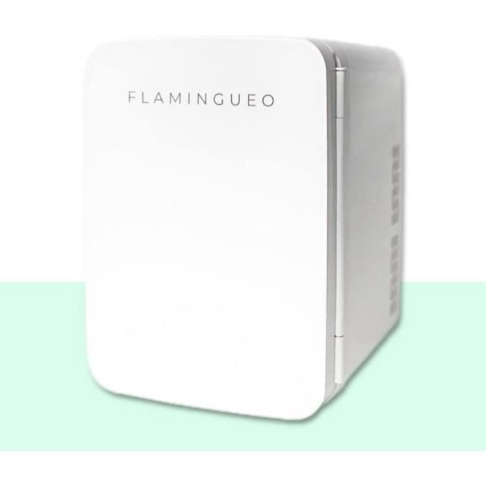 Flamingueo Mini Frigo - Frigo 10L, Mini Frigo de Chambre, Frigo Vintage, Mini Frigo Cosmetique, Réfrigérateur Électrique Portable