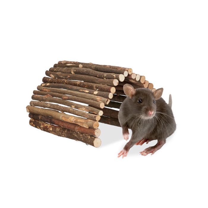 Comparer les prix de Pont en bois pour rongeurs 40 x 65 cm - 10043352-0