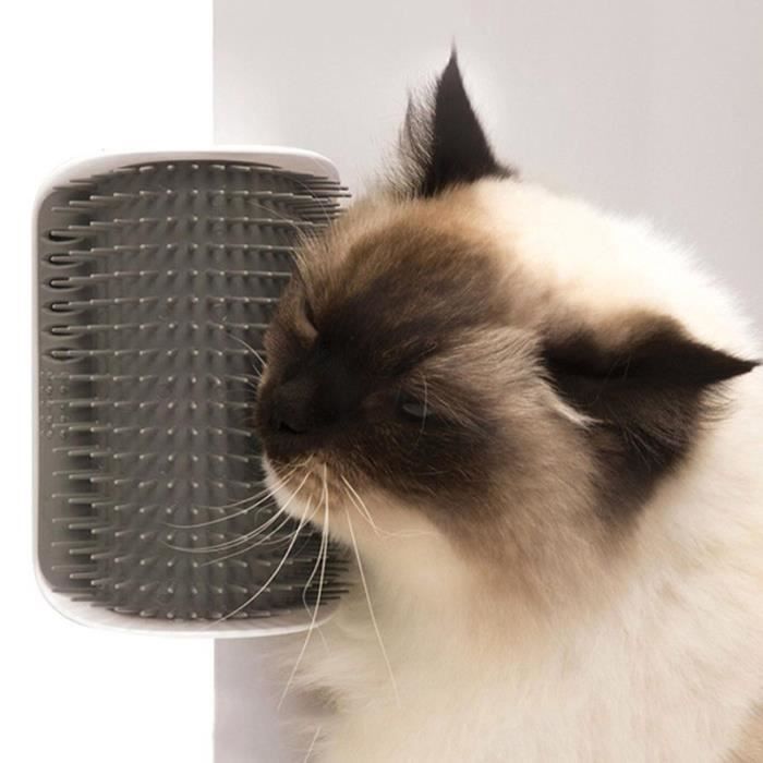 Brosse d'angle de toilettage pour chat.