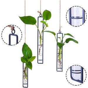 Support Pour Tubes à Essai En Acrylique Transparent - 12 Emplacements (diamètre 16 Mm) - Pour Tubes De 10 Ml - Dimensions 138x63x90 Mm