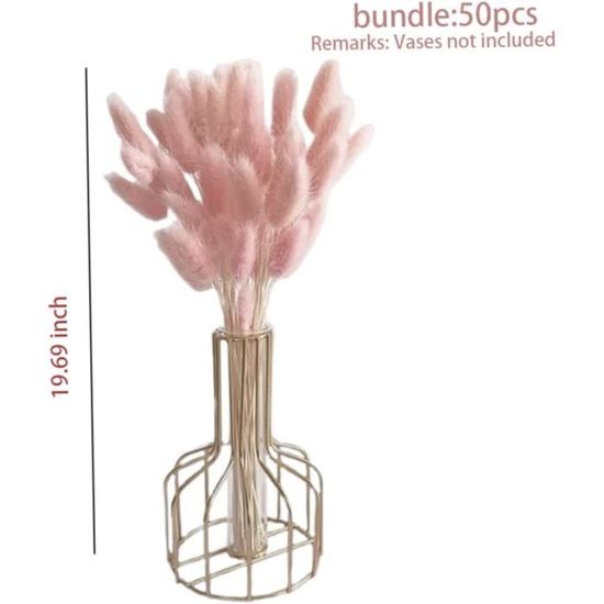 YIWOYI Herbe naturelle séchée en forme de queue de lapin - Fleurs naturelles séchées - Bouquet de fleurs de lagurus et de pampa - Décoration d 'intérieur pour mariage (marron, 90 pièces