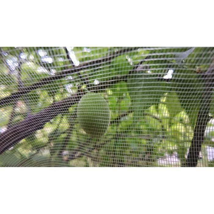 Filets de protection pour serres, arbres fruitiers - Cod. AGR001