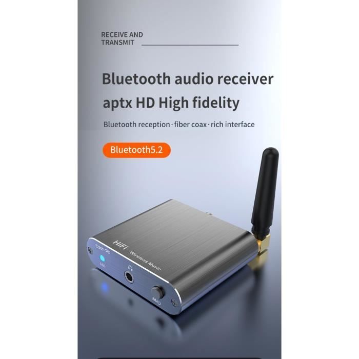 Récepteur Bluetooth 5.2 D300HD pour Chaîne Stéréo Domestique, Adaptateur  Audio Bluetooth HiFi à Faible Latence pour Haut-Parleur, avec Sorties AUX  RCA et Coaxiales Optiques, Plug